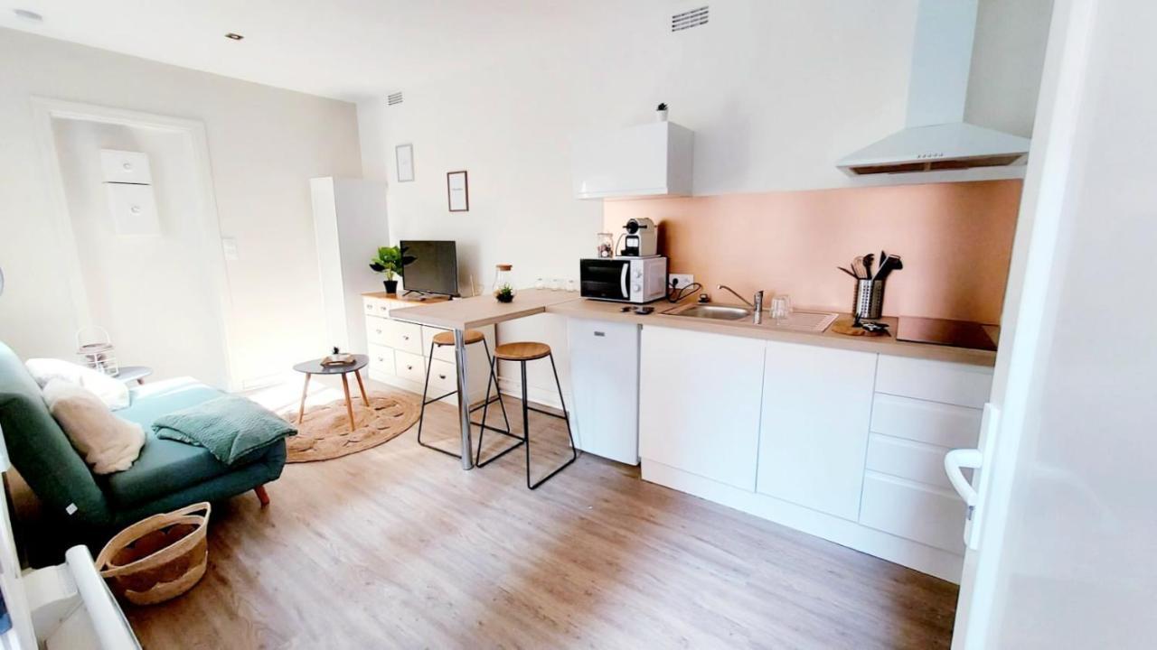Cosy Yucca - 1Ch - Quartier Des Halles & Parking Pau Εξωτερικό φωτογραφία